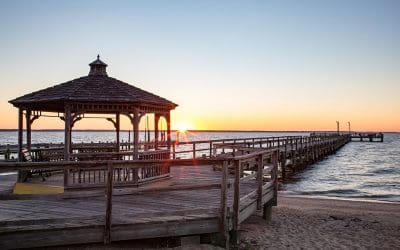 Palm Trees, Sandy Beaches and More in Colonial Beach via Alexandria Living Magazine