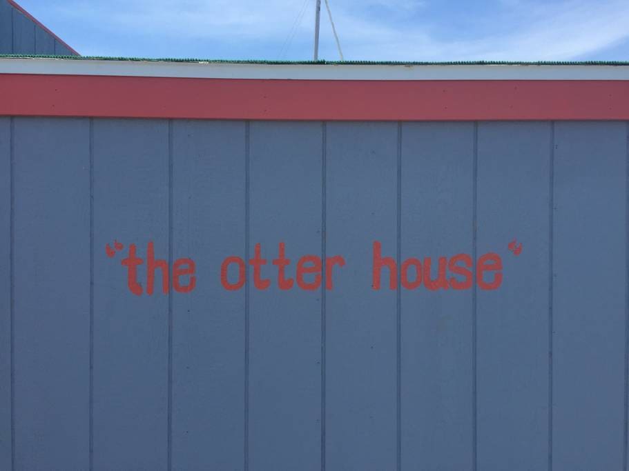 The Otter House