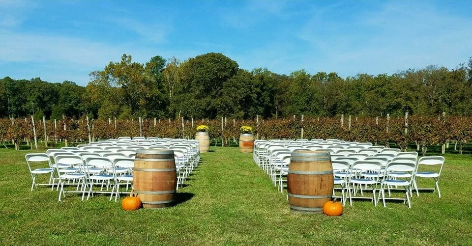 winery wedding